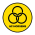 AC Horsens