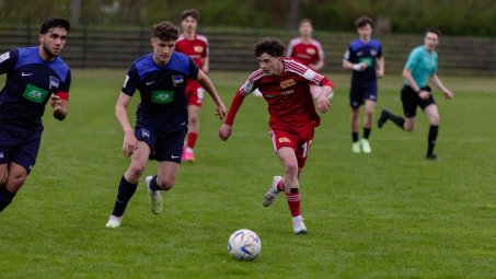 B-Junioren empfangen Hertha BSC