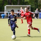 BFC Meteor II_002.jpg