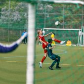 BFC Meteor II_007.jpg