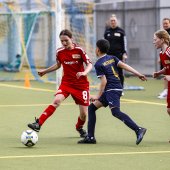 BFC Meteor II_010.jpg