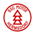 BSG Motor Hermsdorf