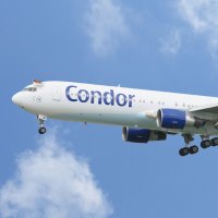 Condor fliegt auf den 1. FC Union Berlin