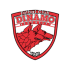 FC Dinamo Bukarest