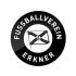 FV Erkner
