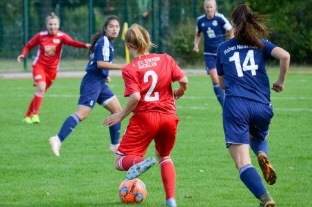 Frauen empfangen Hohen Neuendorf