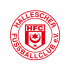 Hallescher FC
