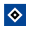 Hamburger SV