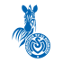 MSV Duisburg
