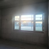 MicrosoftTeams-image (7).jpeg