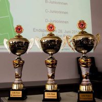 Pokalfinals: Vier Chancen auf den Pott!