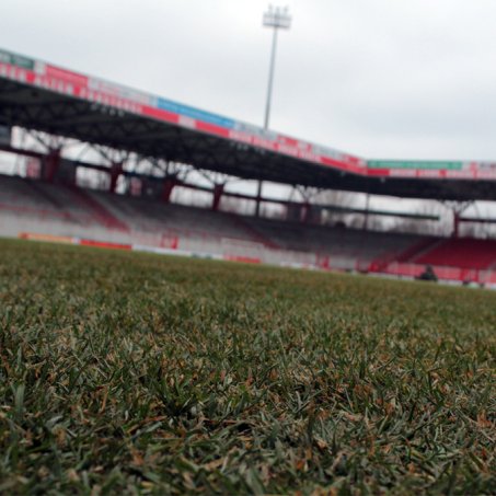 Rasentagebuch: Tag 5 – Come rain, come shine