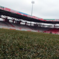 Rasentagebuch: Tag 5 – Come rain, come shine