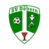 SV Döbern