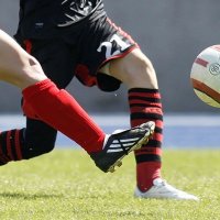 Sieg am grünen Tisch