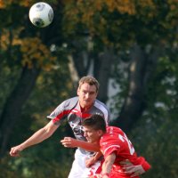 Sieg für die Profis: Interner Test endet 4:1