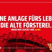 Stadionbesitzer werden