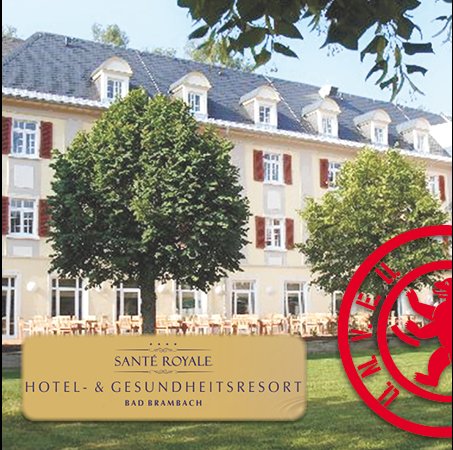 Trainingslager im Vogtland: Union-Profis gastieren in Bad Brambach