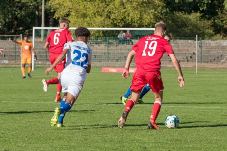 U17 empfängt den HSV
