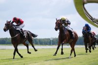 Union- Fans haben den Hut auf!