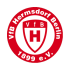 VfB Hermsdorf