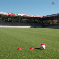 Willkommen zu Hause: Trainingsauftakt im Stadion An der Alten Försterei